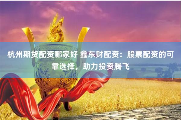 杭州期货配资哪家好 鑫东财配资：股票配资的可靠选择，助力投资腾飞