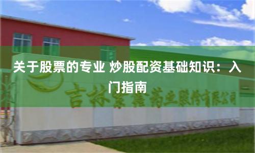 关于股票的专业 炒股配资基础知识：入门指南