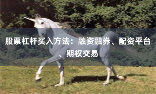 股票杠杆买入方法：融资融券、配资平台、期权交易