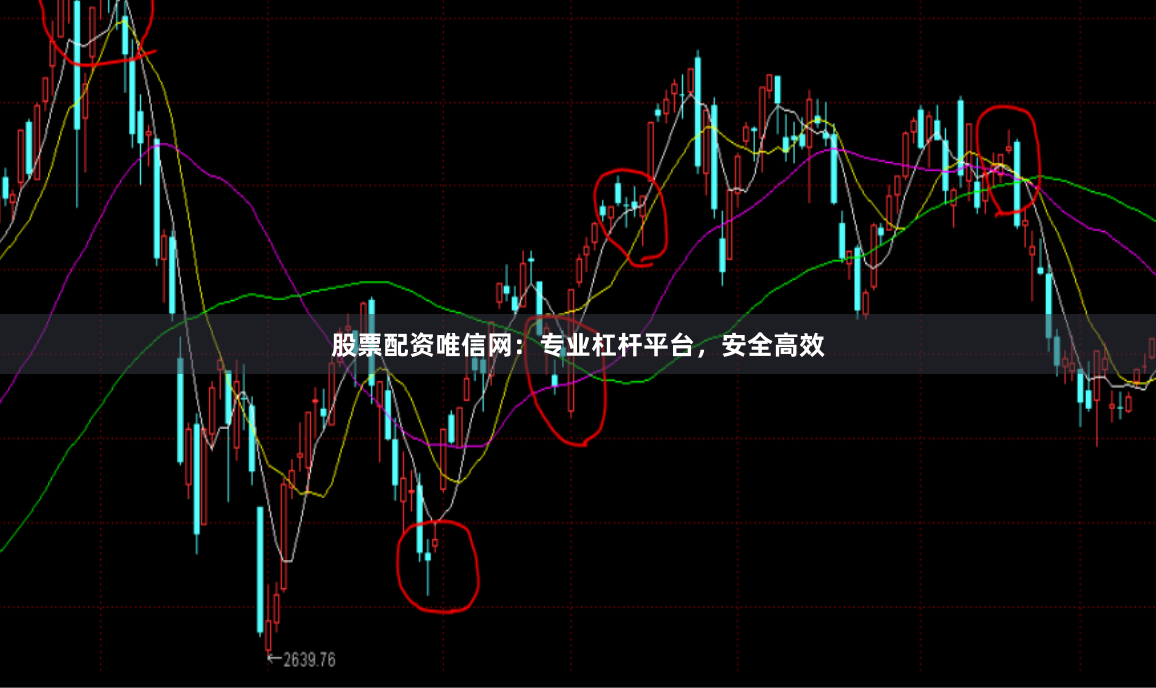 股票配资唯信网:专业杠杆平台,安全高效